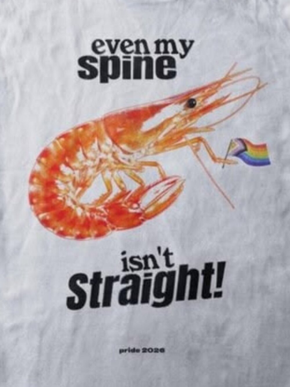 Gay Shrimp Pride Tee, Progress Pride Flag Tee - Picture 2 of 4